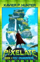 Test Environment: A LitRPG fantasy book (Pixelate) 1643553194 Book Cover