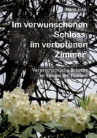 Im verwunschenen Schloss, im verbotenen Zimmer: Vorgeschichtliche Bräuche im Spiegel der Folklore 3756862283 Book Cover