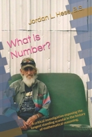 What is Number?: A critical investigation exposing the longest standing scandal in the history of mathematical reasoning. 108677941X Book Cover