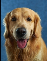 Golden Retriever Lovers Journal Notebook: A4 Size with 200 Pages for recording your special events or thoughts. Ideal Gift. Includes Index Pages, Password Tracking Columns, At a Glance Calendars 2020- 1706402813 Book Cover