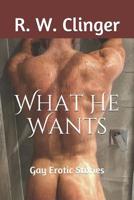 What He Wants : Gay Erotic Stories 1520414501 Book Cover