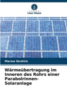 Wärmeübertragung im Inneren des Rohrs einer Parabolrinnen-Solaranlage (German Edition) 6209589065 Book Cover