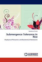 Submergence Tolerance in Rice: Biophysical Phenomics and Biochemical Mechanism 3845421215 Book Cover
