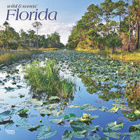 Florida Wild & Scenic 2025 12 X 24 Inch Monthly Square Wall Calendar Plastic-Free 1975474813 Book Cover