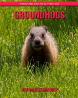 Groundhogs: Amazing Facts & Photos B088B4MVSN Book Cover