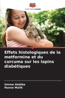 Effets histologiques de la metformine et du curcuma sur les lapins diabétiques 6206088901 Book Cover