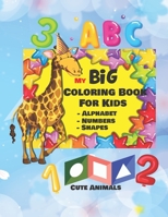 My Big Coloring Book: Fun with Numbers, Letters, Shapes, Colors, Animals: Big Activity Workbook for Toddlers & Kids, 100 pages, 8.5x11 inche B0883YH77G Book Cover