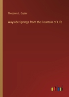 Wayside Springs from the Fountain of Life 3385356113 Book Cover