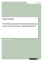 Die Bedeutung der Sozialraumorientierung in der offenen Kinder- und Jugendarbeit 3346607321 Book Cover