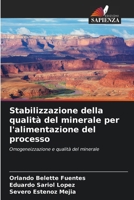 Stabilizzazione della qualità del minerale per l'alimentazione del processo (Italian Edition) 6206904334 Book Cover