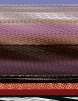 Eliminating the Property Tax in Texas: A Detailed Fiscal Analysis 1931276269 Book Cover