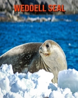 Weddell Seal: Learn About Weddell Seal and Enjoy Colorful Pictures B08MHKVKL9 Book Cover