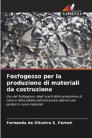 Fosfogesso per la produzione di materiali da costruzione (Italian Edition) 6208404983 Book Cover