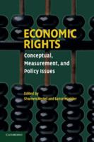Economic Rights: Conceptual, Measurement, and Policy Issues 052169082X Book Cover