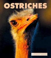 Ostriches (Naturebooks) 1567662749 Book Cover