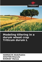 Modeling tillering in a durum wheat crop Triticum durum L 6208162688 Book Cover