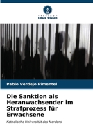 Die Sanktion als Heranwachsender im Strafprozess für Erwachsene (German Edition) 6206963047 Book Cover