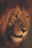 The Warrior Within: Freedom Fighter 1087216044 Book Cover