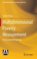 Multidimensional Poverty Measurement: Theory and Methodology 9811911886 Book Cover