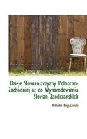 Dzieje Slowianszczyzny P�lnocno-Zachodniej AZ Do Wynarodowienia Slovian Zaodrzanskich 1117550486 Book Cover