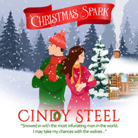 A Christmas Spark B0CPJHRRW2 Book Cover