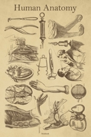 Human Anatomy Notebook: Gray's Anatomy Journal Human Body Medical Anatomical Composition Book Doctor Orthopedist Gift 1703947894 Book Cover