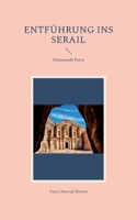 Entführung ins Serail: Felsenstadt Petra 3755759519 Book Cover