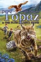 Tales of Topaz the Conjure Cat: Part I  Topaz and the Evil Wizard Part II Topaz and the Plim-Gista Stone 1478303042 Book Cover
