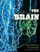 The Brain: Big Bangs, Behaviors, and Beliefs 0300205724 Book Cover