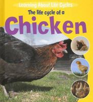 A Chicken's Life Cycle 1404237151 Book Cover
