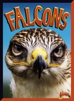 Falcons 1644664844 Book Cover