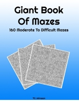 Giant Book Of Mazes: 160 Moderate To Difficult Mazes B08WV8KPH9 Book Cover