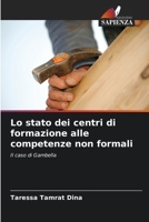Lo stato dei centri di formazione alle competenze non formali (Italian Edition) 6207762444 Book Cover