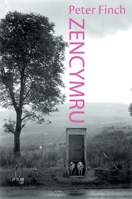 Zen Cymru 1854115006 Book Cover