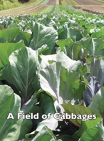 A Field of Cabbages 1647643864 Book Cover