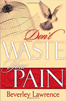 Don't Waste Your Pain 1591856175 Book Cover