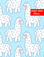 2020-2021 Planner: Nice Daily, Weekly & Monthly Organizer & Diary - 2 Year Appointment Calendar, Business Planners, Agenda Schedule Logbook and Journal 1695974654 Book Cover