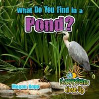 What Do You Find in a Pond? 0778722791 Book Cover