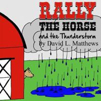 Rally the Horse and the Thunderstorm 1491009322 Book Cover