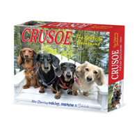 2026 Crusoe the Celebrity Dachshund Box 1549254081 Book Cover