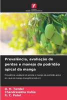 Prevalência, avaliação de perdas e manejo da podridão apical da manga: Prevalência, avaliação de perdas e manejo da podridão apical do caule da manga (mangifera indica l.) (Portuguese Edition) 6207626966 Book Cover