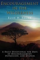 Encouragement in the Wilderness:  Devotionals for Days of Discouragement, Depression, and Despair 1591291259 Book Cover