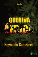 Querida África B08S2ZZ783 Book Cover