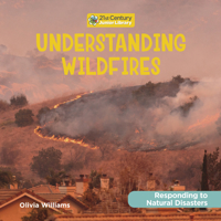 Understanding Wildfires 1534199217 Book Cover