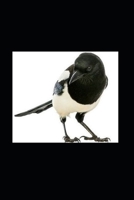 The Black Magpie - Die schwarze Elster: Ein afrikanischer Mafia Thriller (Akoma Ntoso Books about online scam) B09P1NYW42 Book Cover