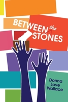 Between the Stones 0578572702 Book Cover