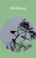 Misplaced 1539725057 Book Cover