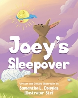 Joey's Sleepover 0228848156 Book Cover