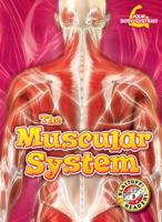 The Muscular System (Your Body Systems: Blastoff! Readers) 1618917536 Book Cover