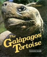 The Galapagos Tortoise (Dillon Remarkable Animal Series) 0875185444 Book Cover